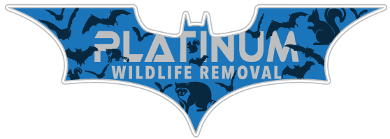 Animal Removal Johnson County